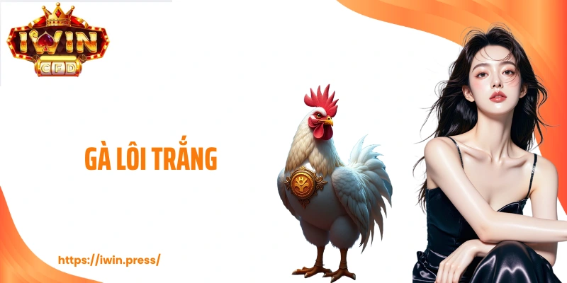 Gà Lôi Trắng - Thế Đá Thanh Thoát, Kèo Đi Sâu Khó Lường