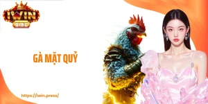 Gà Mặt Quỷ - Dòng Chiến Kê Dị Tướng Được Săn Đón Tại IWIN